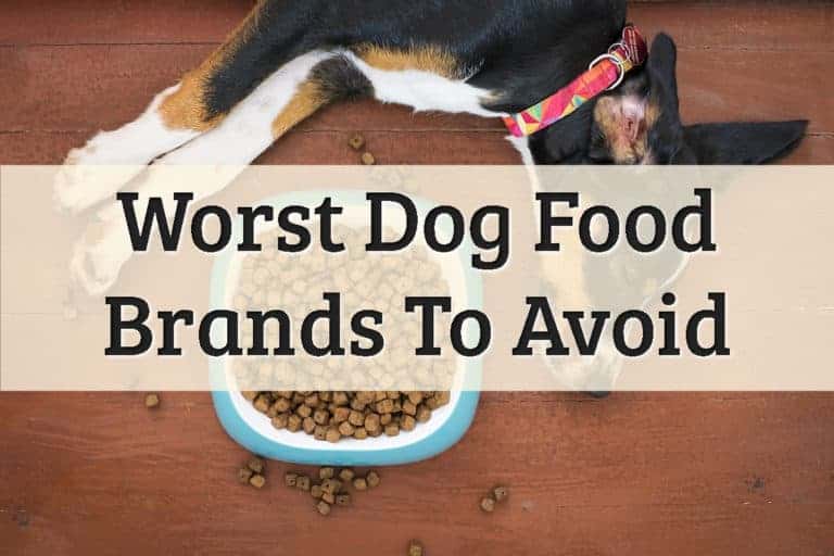 A Pup Napping Trying To Avoid The Dog Food Feature Image