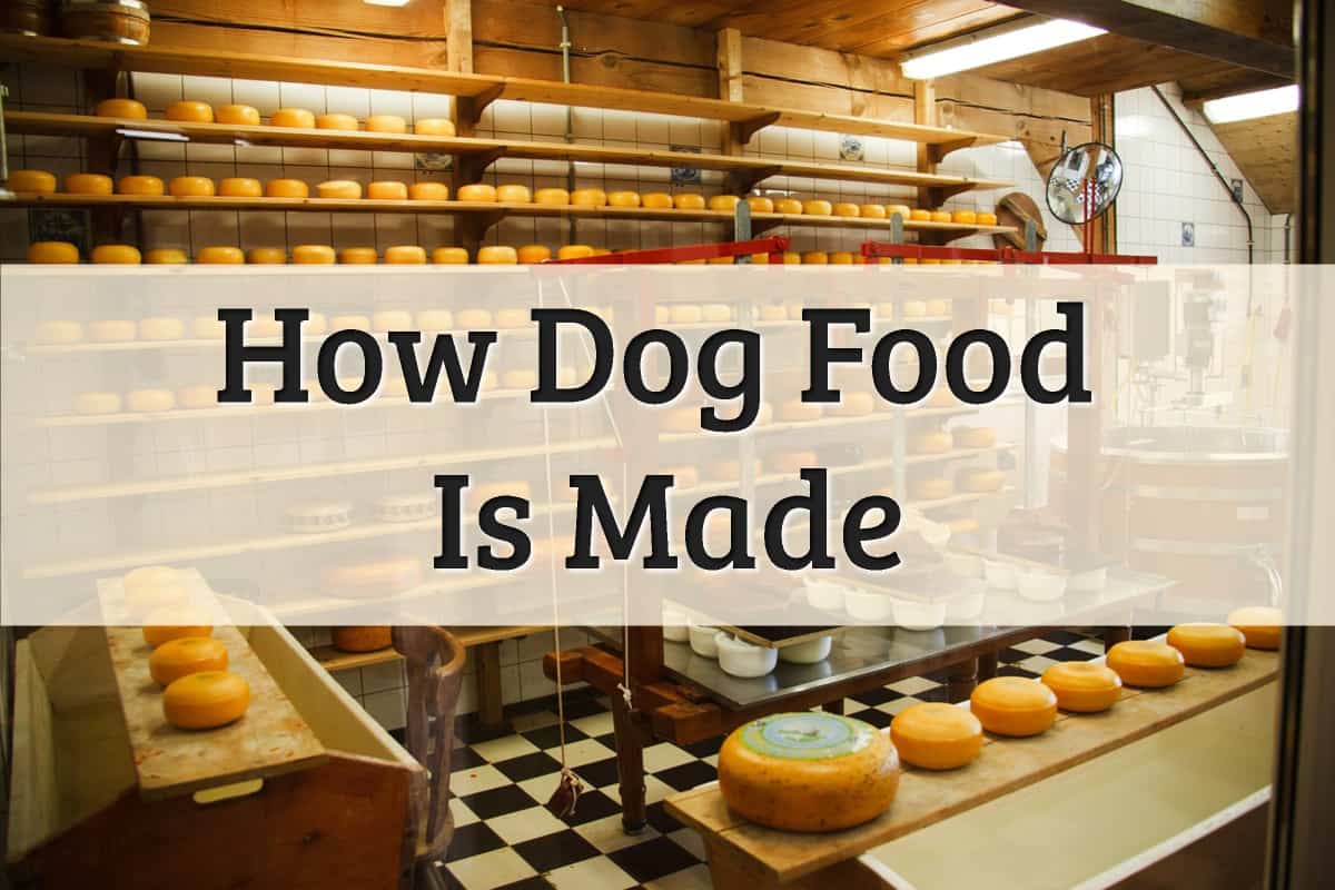 How Dog Food Is Made