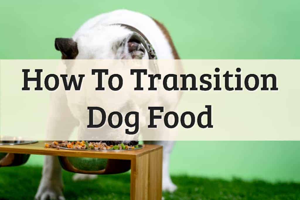 How To Transition Dog Food Feature Image
