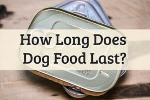 Does Dog Food Expire Feature Image