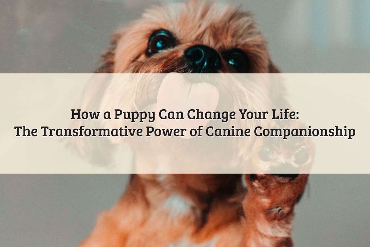 How a Puppy Can Change Your Life: The Transformative Power of Canine Companionship