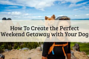 How To Create the Perfect Weekend Getaway with Your Dog