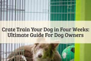 Crate Train Your Dog in Four Weeks_ Ultimate Guide For Dog Owners