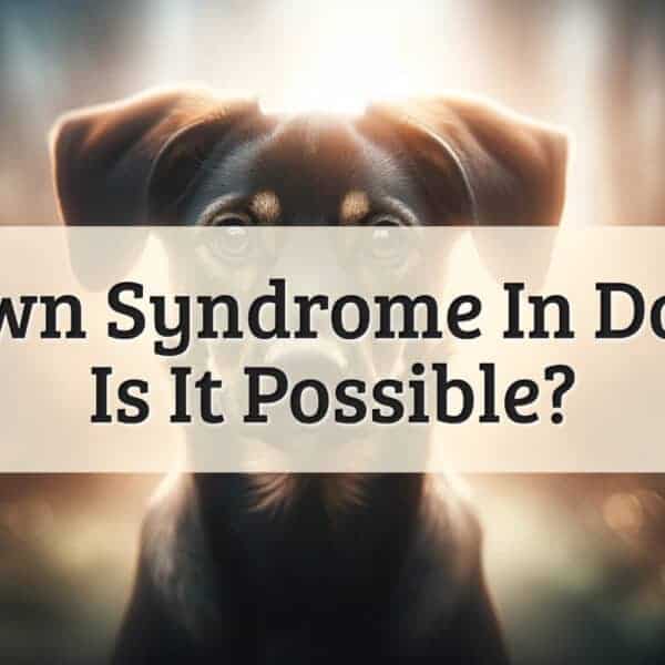 featured image - down syndrome dog