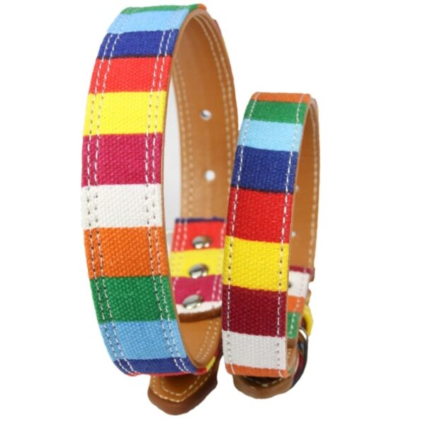 Colorful Canvas Dog Collar